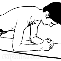 Front plank