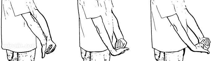 Stretching of the wrist extensor